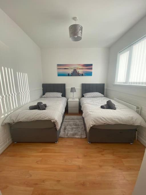 Modern Two Bed House Close To City Centre Belfast Exterior foto